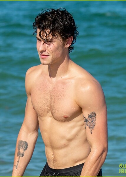 Shawn Mendes photo