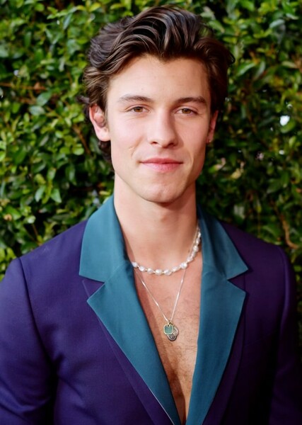 Shawn Mendes photo