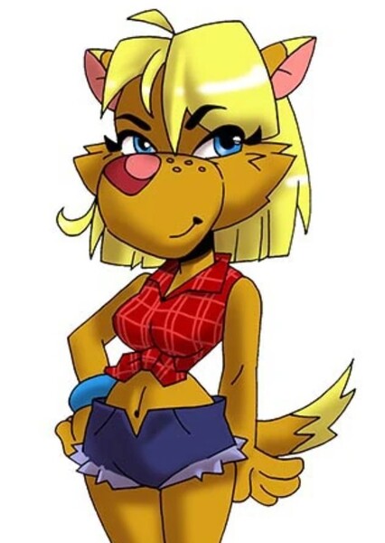 Shazza the Dingo