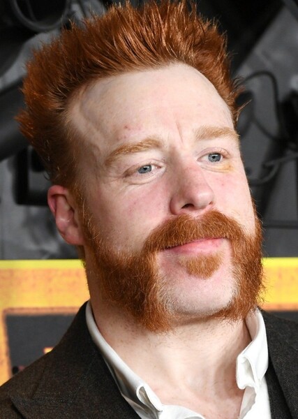 Sheamus photo