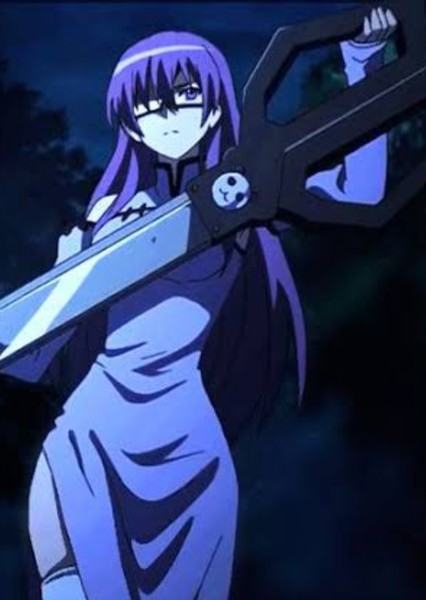 Sheele (Akame ga Kill!) photo