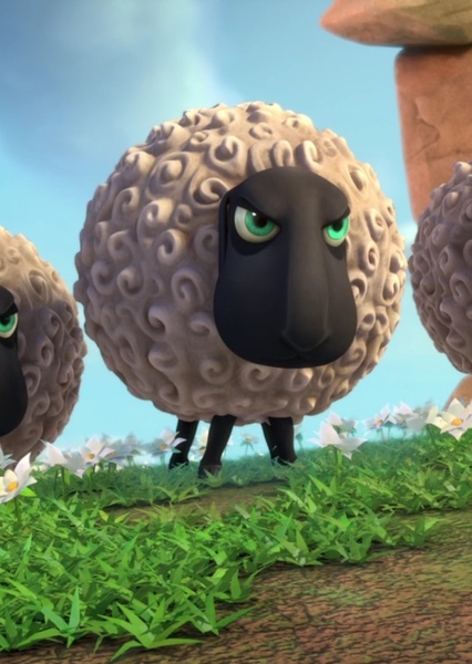Sheep