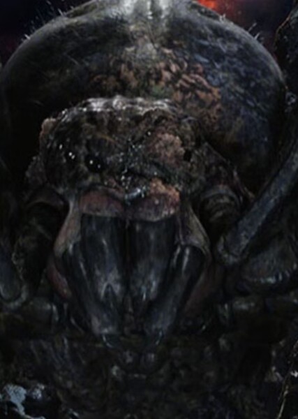 Shelob photo
