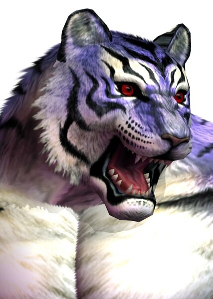 Shenlong the Tiger photo