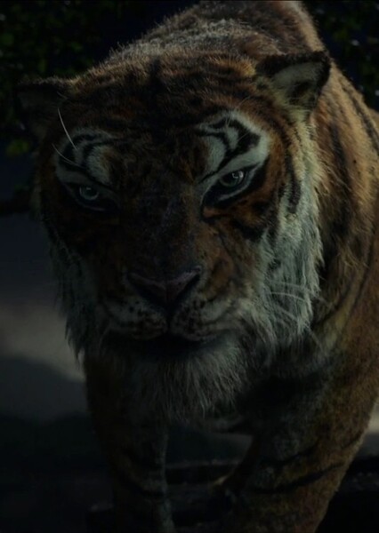 Shere Khan