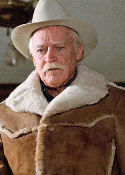 Sheriff Buster photo