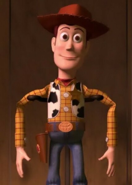 Sheriff Woody Pride photo