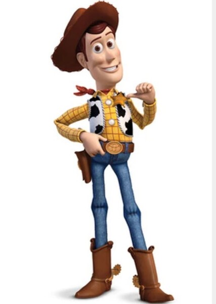 Sheriff Woody Pride photo