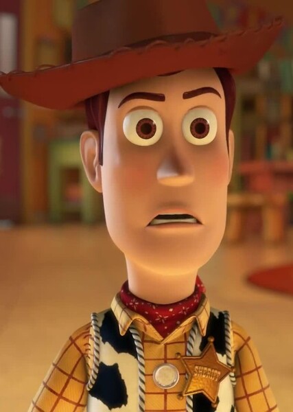 Sheriff Woody Pride photo