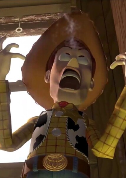Sheriff Woody Pride photo