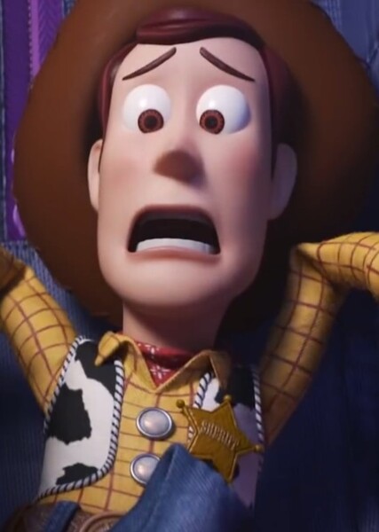 Sheriff Woody Pride photo