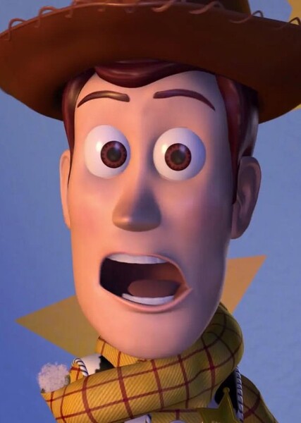 Sheriff Woody Pride photo