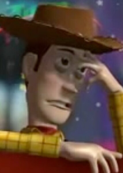 Sheriff Woody Pride photo