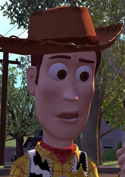 Sheriff Woody Pride photo