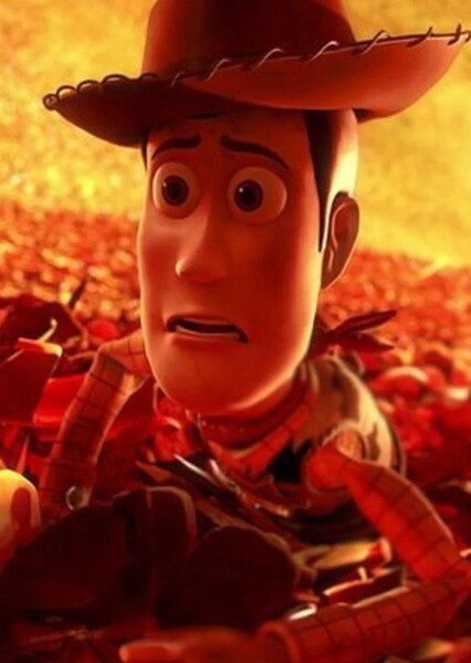 Sheriff Woody Pride photo