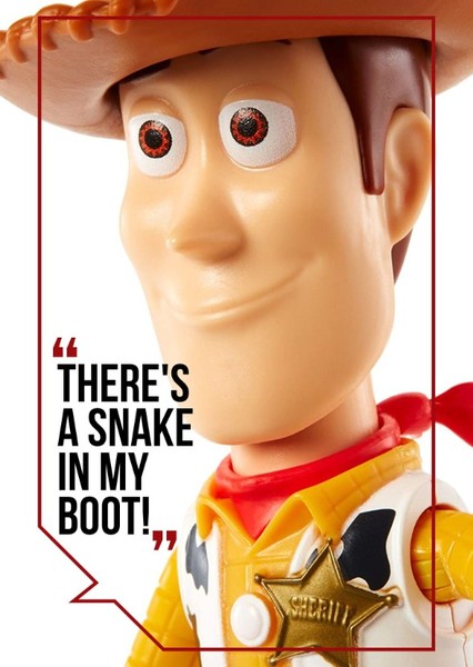 Sheriff Woody Pride photo