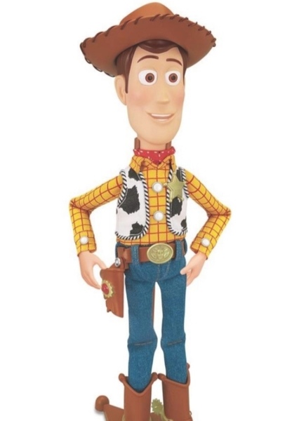Sheriff Woody Pride photo
