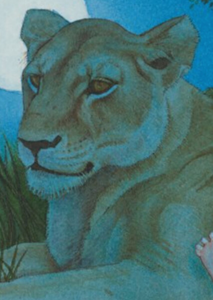 Shiegra