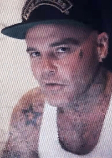 Shifty Shellshock