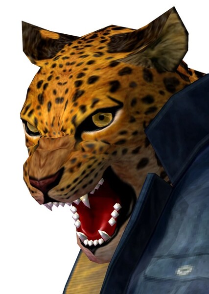 Shina the Leopard photo