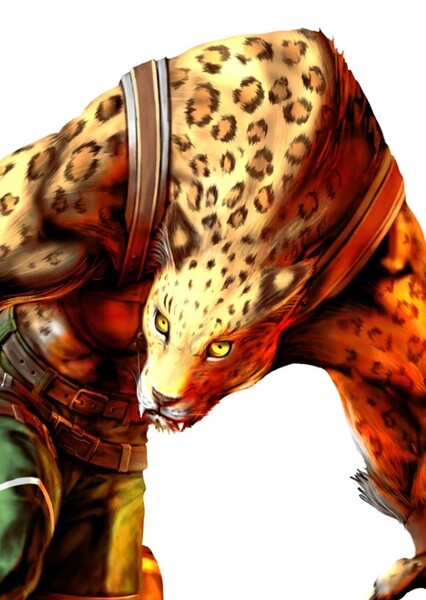 Shina the Leopard photo