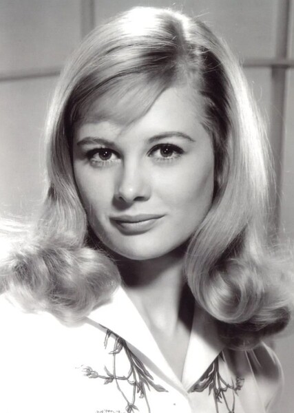 Sandy gatz