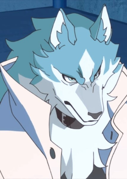 Shirou Ogami