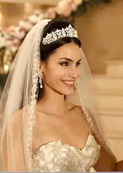 Shiva Negar photo