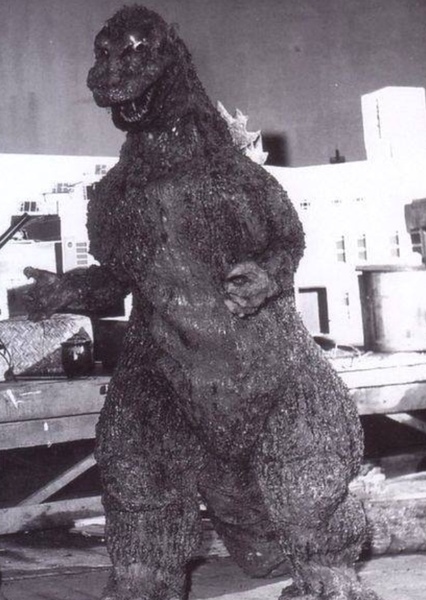 ShodaiGoji photo