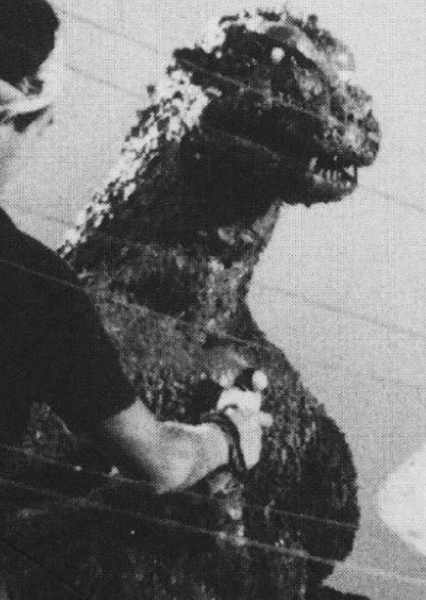 ShodaiGoji photo