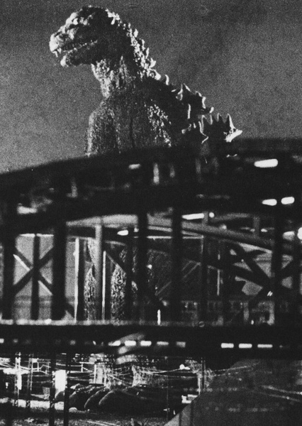 ShodaiGoji photo