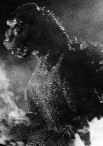 ShodaiGoji photo