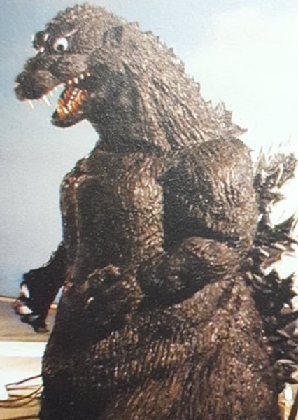 ShodaiGoji photo