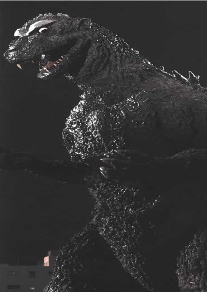 ShodaiGoji photo