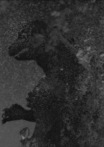 ShodaiGoji photo
