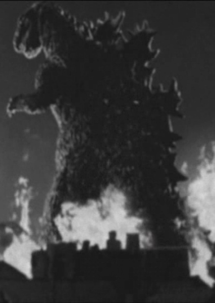 ShodaiGoji photo