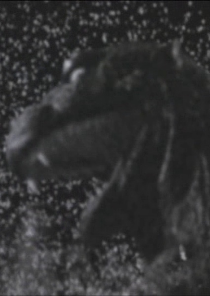 ShodaiGoji photo