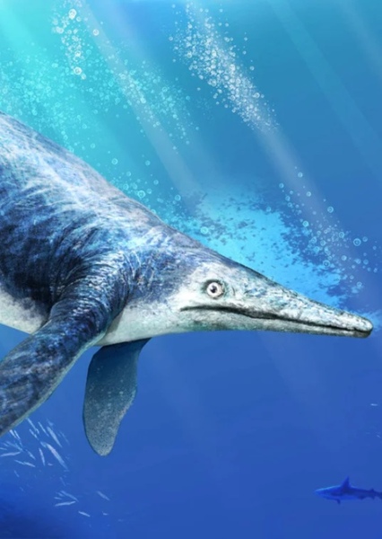 Shonisaurus photo
