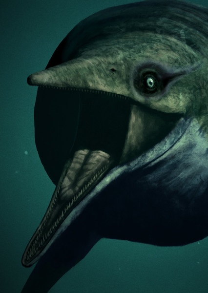 Shonisaurus photo