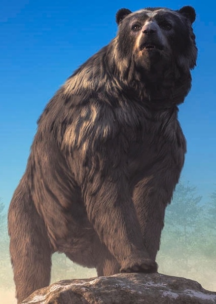 Short-Faced Bear photo