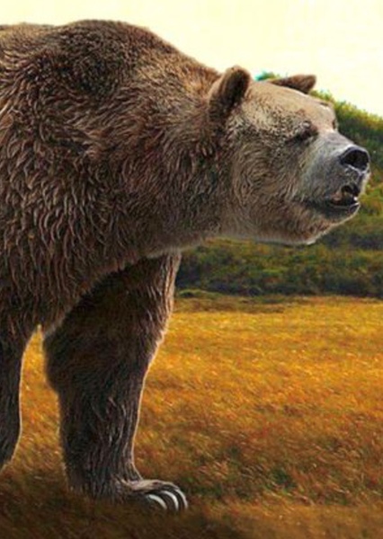 Short-Faced Bear photo