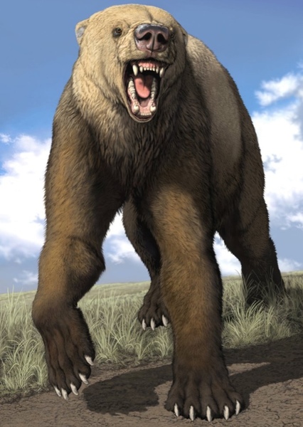 Short-Faced Bear