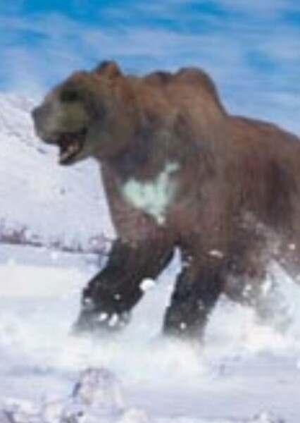 Short-Faced Bear (BBC)