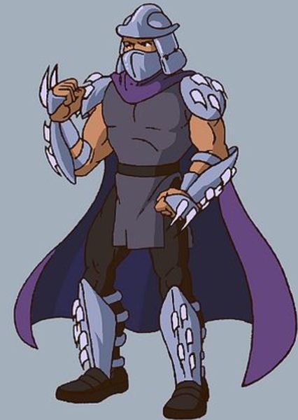 Shredder photo
