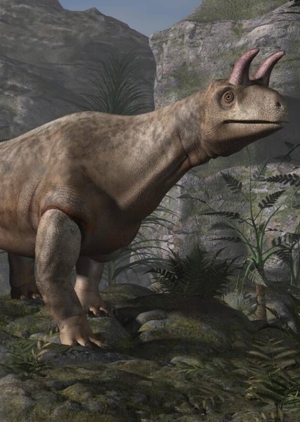 Shringasaurus photo