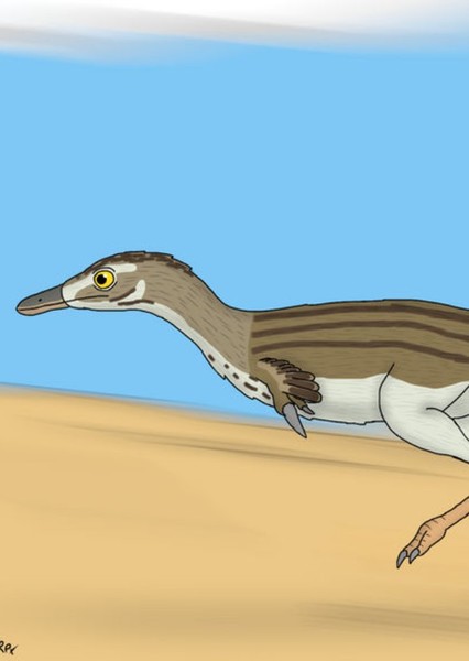 Shuvuuia
