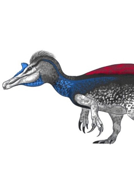 Siamosaurus photo