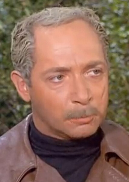 Siegfried (Get Smart) photo
