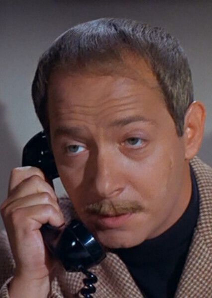 Siegfried (Get Smart) photo