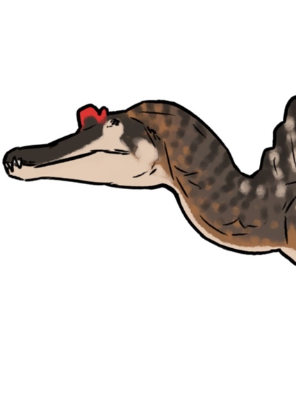 Sigilmassasaurus